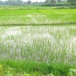 NcHuhTcSYft8TtyxZjTquA-4gndtysKA0cGoQFC28Eqt0T-zZdJ6etJ-K7JHeo0evlofqLU7acU9U51oxnBWnM6D2ZpCDbLf34rTE7j_QSY