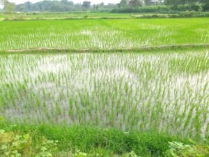 NcHuhTcSYft8TtyxZjTquA-4gndtysKA0cGoQFC28Eqt0T-zZdJ6etJ-K7JHeo0evlofqLU7acU9U51oxnBWnM6D2ZpCDbLf34rTE7j_QSY