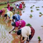 cXALmDfhzsjc2HMLLvAdox3GRnz8MsKtYVAc4nUN1mdGxkXEHz8Ir6JbRNPdhEqeS2elyydrSVzJ5N6cn5gcoIiGhhdqCnuBoT6bUFQ_sKM