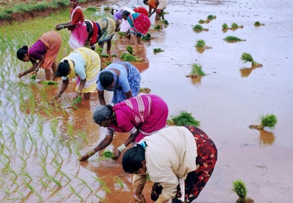 cXALmDfhzsjc2HMLLvAdox3GRnz8MsKtYVAc4nUN1mdGxkXEHz8Ir6JbRNPdhEqeS2elyydrSVzJ5N6cn5gcoIiGhhdqCnuBoT6bUFQ_sKM