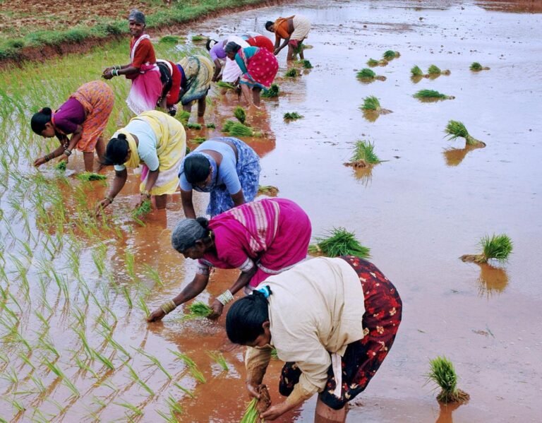 cXALmDfhzsjc2HMLLvAdox3GRnz8MsKtYVAc4nUN1mdGxkXEHz8Ir6JbRNPdhEqeS2elyydrSVzJ5N6cn5gcoIiGhhdqCnuBoT6bUFQ_sKM