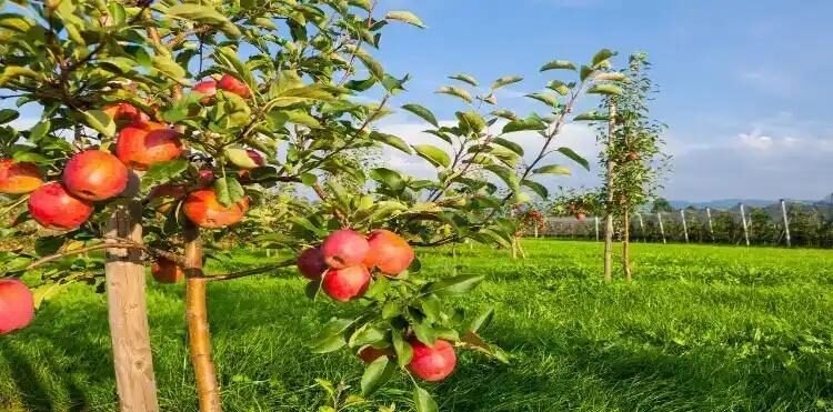 WBk9GlSn0-VWuMUxg6jIIXZU147T74Ms5Kfss5Mjw7km62S83QQoqd8ARksdr6pWecdPwh4TlE1eVFRY9mGKAsQWkgEA2pLhRbvT2WsGZqoAEbr88z4a6R37-m2BRNtpYSSgZJ7qugsb1hm4nD0_cBH12WHFBj2ziCj1AgCHP3garUOyll7wI9jS_W610Qyo