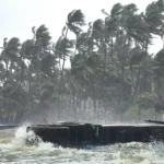 strong-winds-bend-palm-trees-and-waves-crash-against-a-seawall-during-rough-sea-conditions-triggered-305443123-16x9_0