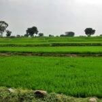 Representative monsoon weather image for Andhra Pradesh today and tomorrow
