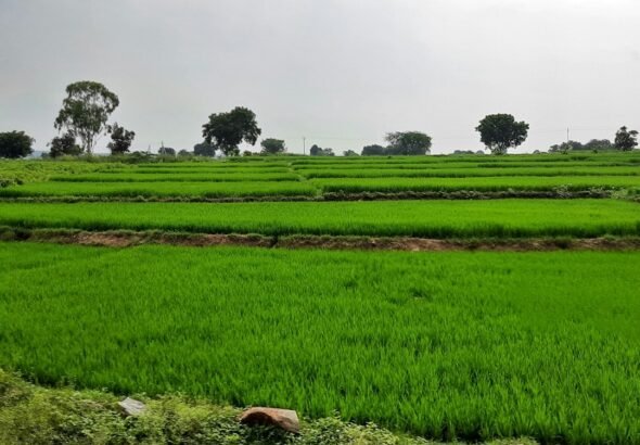 Representative monsoon weather image for Andhra Pradesh today and tomorrow